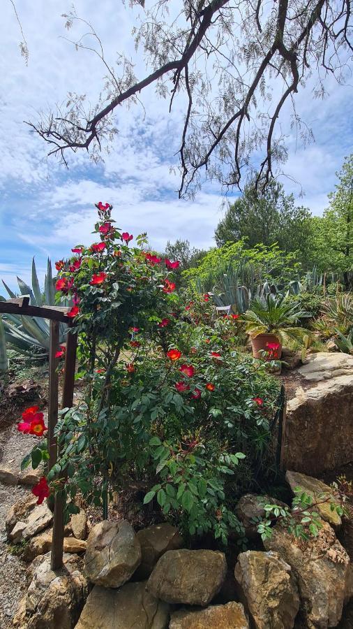 Casa Merea 16 Costa d'Oneglia المظهر الخارجي الصورة