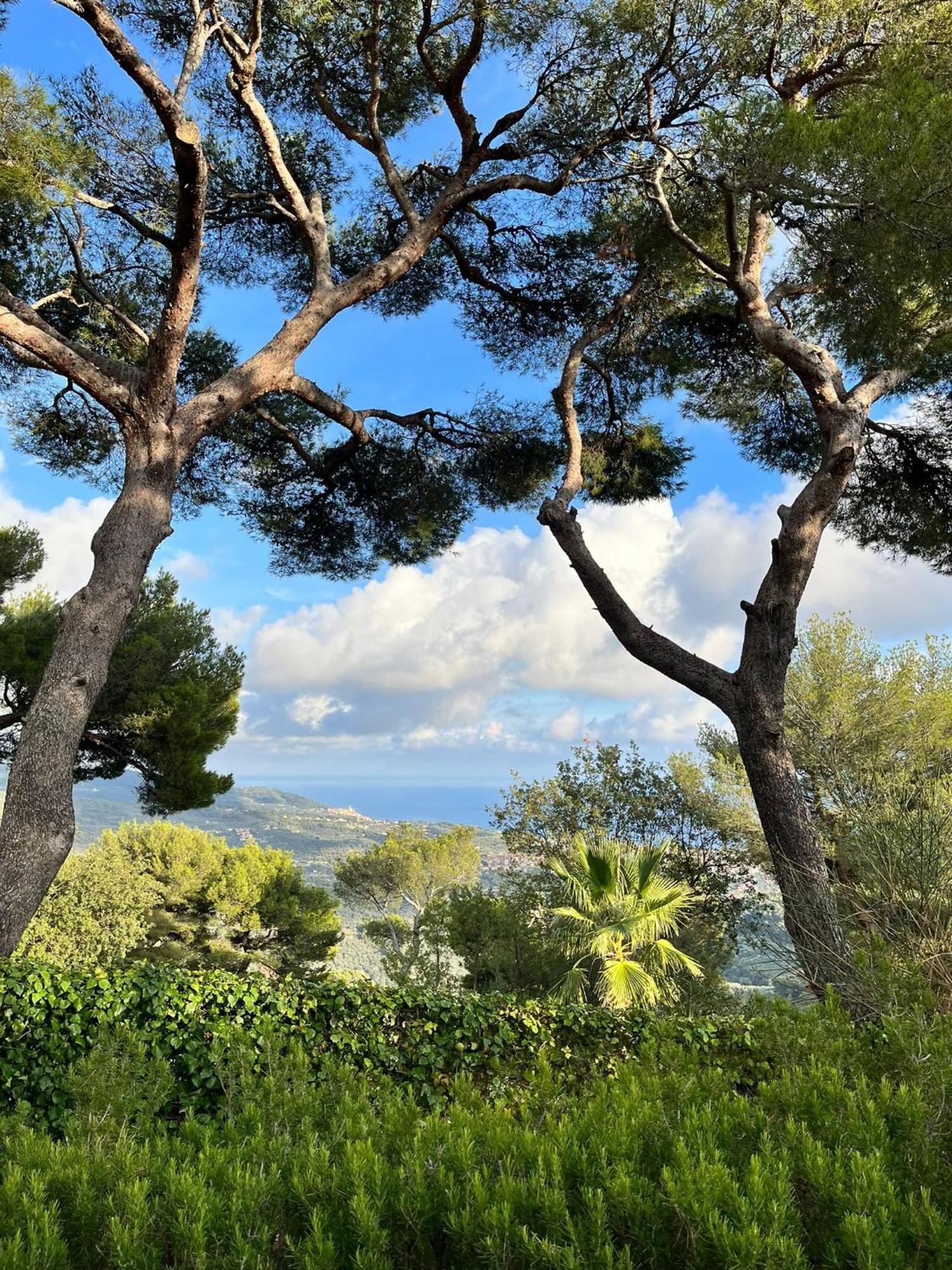 Casa Merea 16 Costa d'Oneglia المظهر الخارجي الصورة